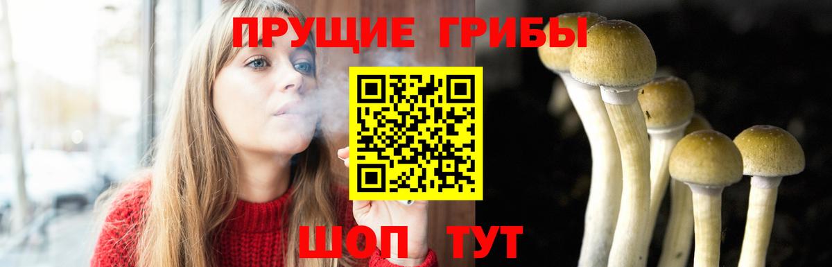 Псилоцибиновые грибы прущие грибы Ростов Великий